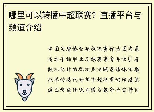 哪里可以转播中超联赛？直播平台与频道介绍