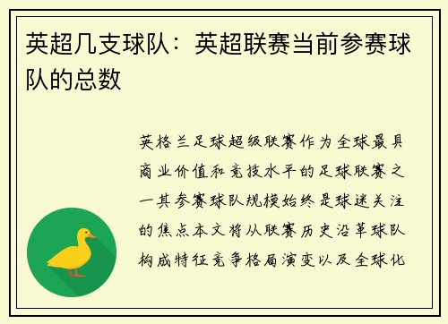 英超几支球队：英超联赛当前参赛球队的总数
