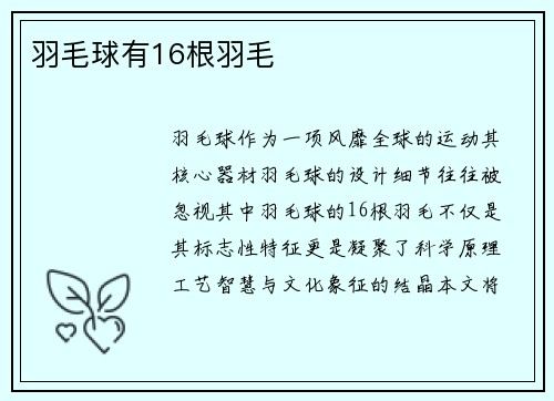 羽毛球有16根羽毛